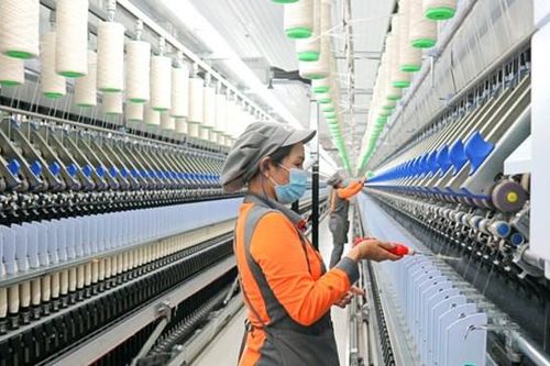 Sợi Thế Kỷ (STK) bị phạt 77,5 triệu đồng