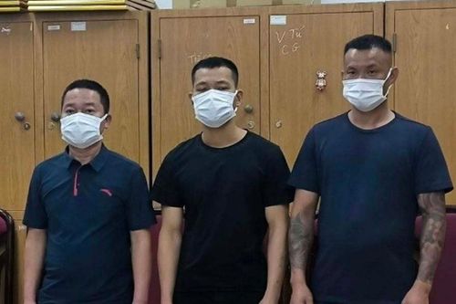 Tạm giữ nhóm 'lợn rừng' nghi bảo kê xây dựng ở Hà Nội