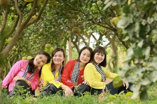Phú Xuyên: Kết nối du lịch làng nghề với nông nghiệp trải nghiệm