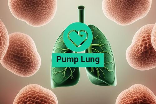 Cách giải độc và làm sạch phổi tự nhiên