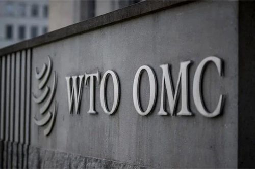 WTO kêu gọi cải cách, thúc đẩy thương mại tự do