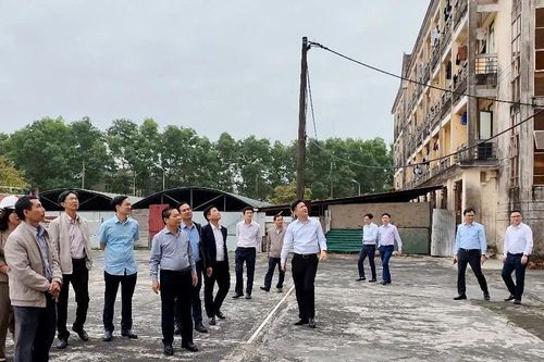 Thứ trưởng Lê Tấn Dũng kiểm tra việc giải ngân vốn đầu tư công của Đại học Huế