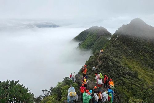 Một nhà báo chinh phục đỉnh Tà Xùa cao trên 2800m trong 2 giờ 15 phút