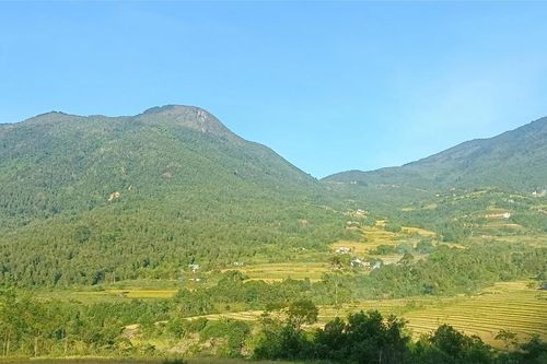 Bình Liêu vào mùa quế