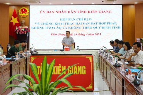 Kiên Giang họp giao ban Ban Chỉ đạo chống khai thác IUU