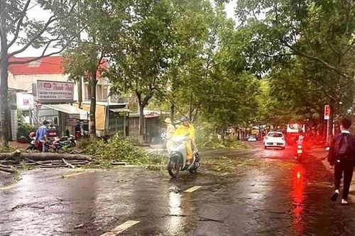 Mưa dông mạnh bất thường ở Đắk Nông
