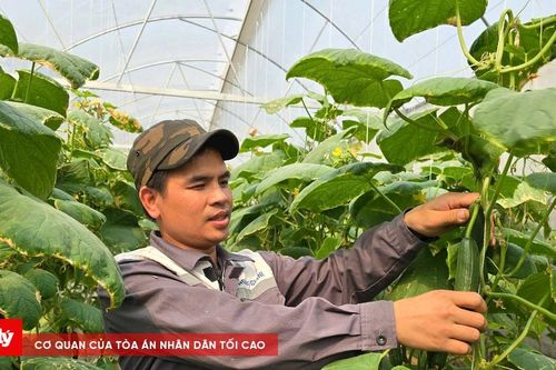 Thoát nghèo, tái hòa nhập cộng đồng nhờ nguồn vốn Ngân hàng Chính sách xã hội