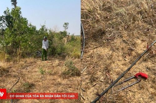 Điều tra tình trạng kẻ gian liên tiếp trộm cắp dây dẫn điện chiếu sáng