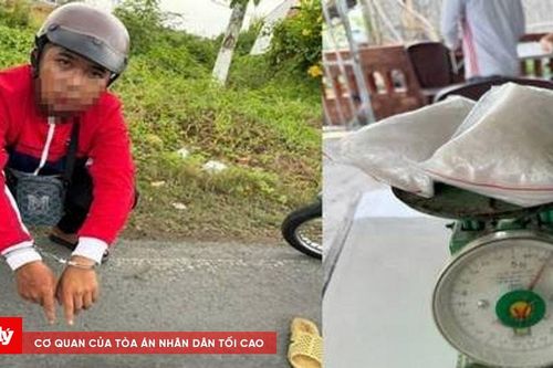 Bắt đối tượng vận chuyển gần 0,5 kg ma túy