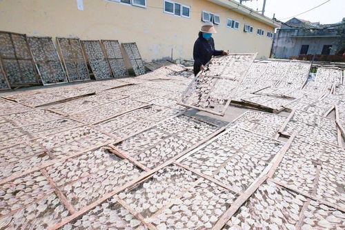 Đặc sản mực 'đắt hàng' đầu mùa du lịch, ngư dân Nghệ An bội thu