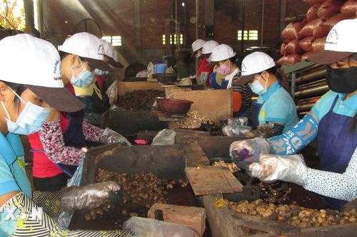 Nông lâm thủy sản Việt Nam: Tăng trưởng mạnh, vẫn lo bởi 3 kịch bản áp thuế