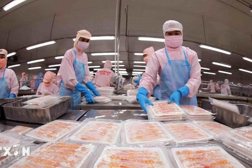 Nhiều tiềm năng và dư địa phát triển quan hệ song phương Việt Nam-Hy Lạp