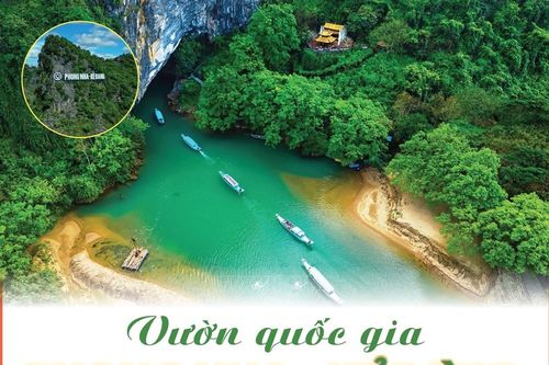 Vườn quốc gia Phong Nha - Kẻ Bàng: Điểm đến hàng đầu cho du lịch mạo hiểm tại Việt Nam