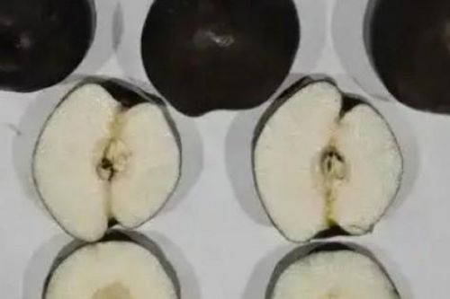 Cú lừa 'lê đen Tây Tạng': Mua về 2 ngày là thối, giá hơn trăm nghìn/kg