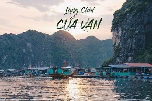 Giữa lòng vịnh Hạ Long có 1 làng chài được ví như 'viên ngọc ẩn', chỉ những người sành đi mới biết