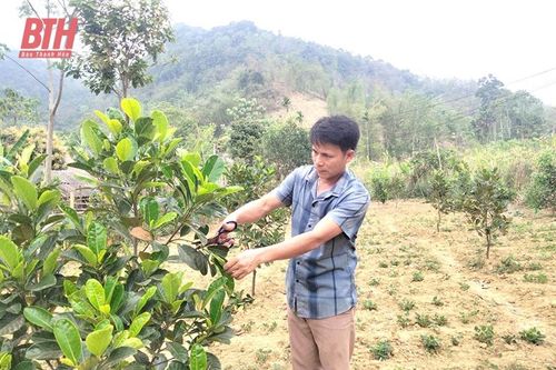 Bí thư chi bộ kiêm trưởng bản 8X trách nhiệm với công việc tập thể