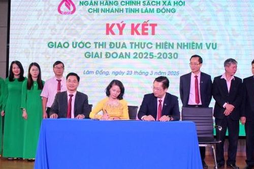 Hiệu quả từ các phong trào thi đua ở Ngân hàng Chính sách xã hội