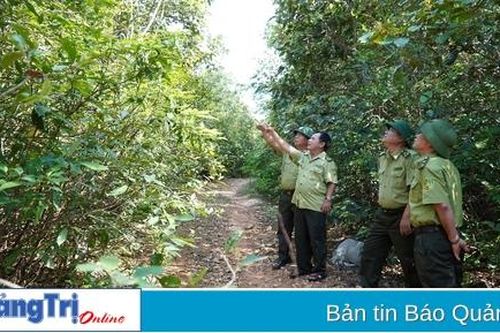 Hỗ trợ hơn 950 triệu đồng cho công tác bảo vệ và phát triển rừng