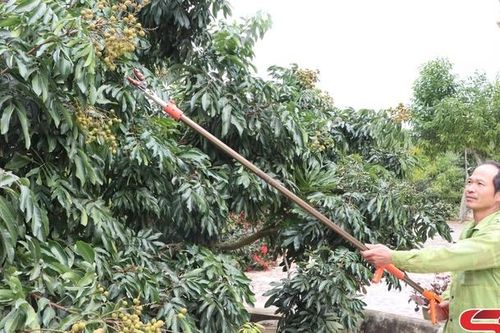 Chuẩn bị các điều kiện tiêu thụ nông sản