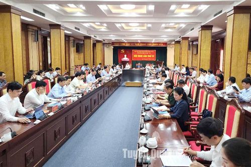 Hội nghị Ban Chấp hành Đảng bộ tỉnh lần thứ 22 tiếp tục làm việc