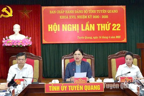 Hội nghị Ban Chấp hành Đảng bộ tỉnh lần thứ 22 tiếp tục làm việc