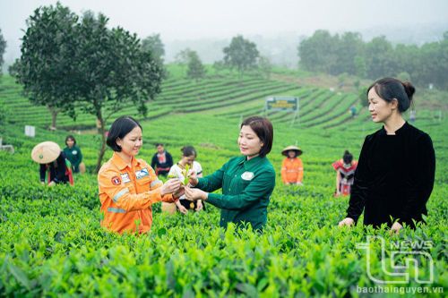Chắt chiu vị ngọt chát dâng đời