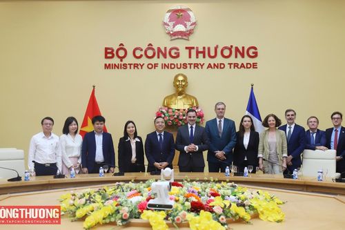 Củng cố hợp tác Việt Nam - Pháp trong lĩnh vực năng lượng, thương mại