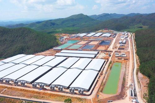 BAF Việt Nam (BAF) dự kiến triển khai 13 trang trại, cụm trang trại trong năm nay