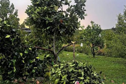Mưa đá kèm lốc xoáy khiến nhiều nhà dân tốc mái, bể nhiều kính ô tô