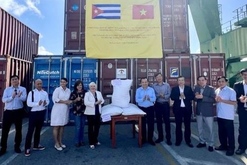 Việt Nam bàn giao 11.500 tấn gạo tặng nhân dân Cuba
