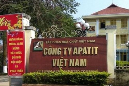 Apatit Việt Nam (PAT): Sắp chi nốt 62,5 tỷ đồng cổ tức 2024, đặt kế hoạch lãi 300 tỷ và cổ tức 100% năm 2025