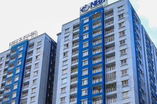 Đại Dũng không còn là cổ đông lớn, NBB duyệt vay 1.200 tỷ đồng, đặt mục tiêu lãi 2 tỷ năm 2025