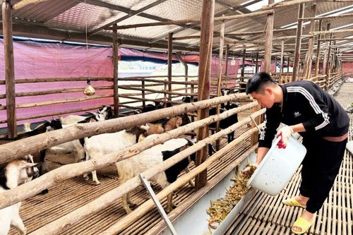 Hợp tác xã nông nghiệp - Điểm tựa của kinh tế nông thôn
