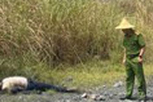 Vụ phát hiện thi thể người đàn ông đang phân hủy ở Lào Cai: Nạn nhân có dấu hiệu tâm thần, 'mất liên lạc' gần 20 ngày