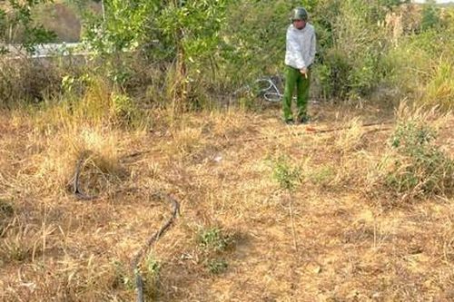 'Đau đầu' với nạn trộm cắp dây điện chiếu sáng