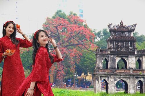 Những địa điểm chụp ảnh hoa gạo đẹp ở Hà Nội