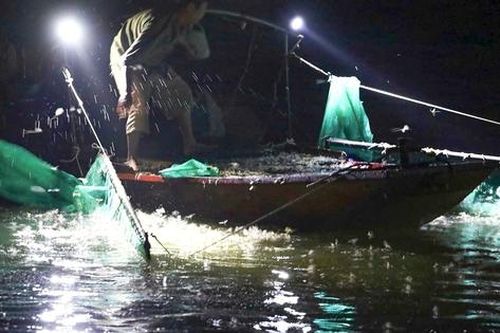 Mùa săn 'lộc trời' trên sông Hồng