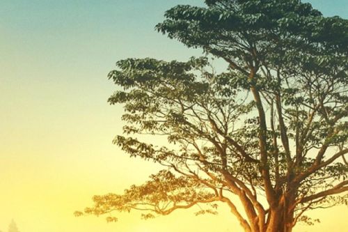 Văn học quảng bá du lịch