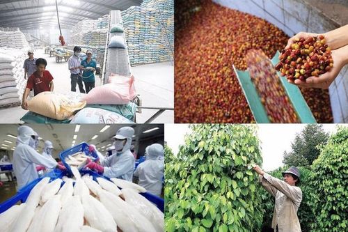 Triển khai chương trình tín dụng 100.000 tỷ đồng đối với lĩnh vực nông, lâm, thủy sản
