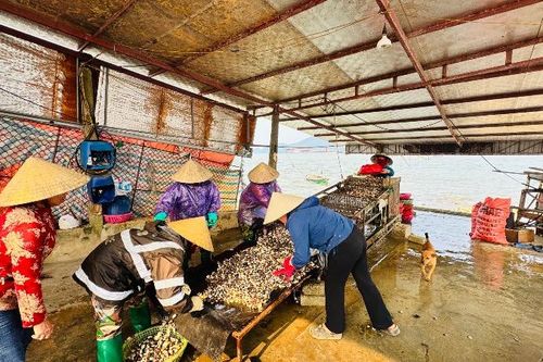 Mở rộng gói tín dụng 100.000 tỷ đồng cho vay nông, lâm, thủy sản