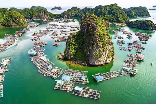 Làng chài Cửa Vạn 'viên ngọc ẩn' giữa lòng vịnh Hạ Long