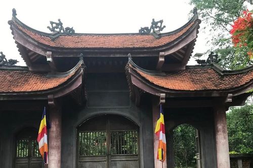 Chuyên gia Đại học Canada tham gia khai quật khảo cổ tại Ninh Bình