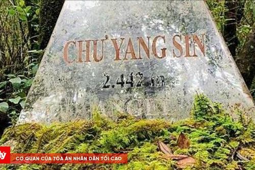 Vì một Chư Yang Sin xanh mãi