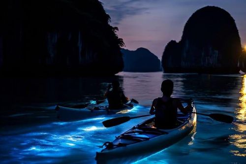 Top trải nghiệm không thể bỏ lỡ ở Cát Bà về đêm