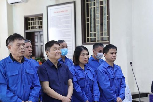 Doanh nhân La 'điên' cùng loạt lãnh đạo xã, huyện ở Thái Bình lĩnh án