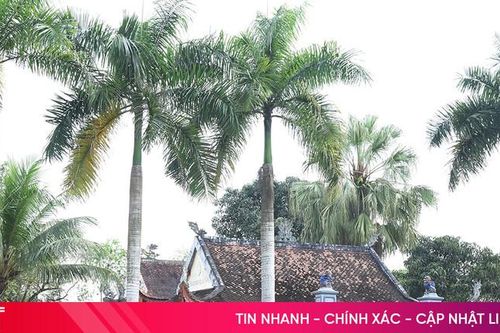 Khám phá di tích lịch sử quốc gia mộ và nhà thờ Nguyễn Phi Sài