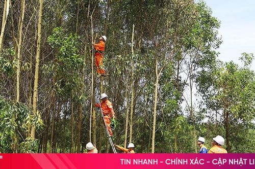Hơn 200 người ra quân giải phóng hành lang lưới điện ở Hương Khê