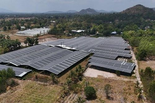 Làm giàu từ mô hình sản xuất nông nghiệp kết hợp điện mặt trời