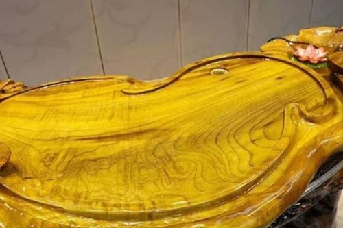 Đây là loại gỗ quý hơn vàng, được mệnh danh là 'báu vật trong rừng,' có giá 9.000 tỷ đồng