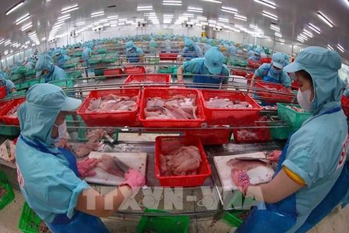 Minh bạch nguồn gốc để nâng cao sức cạnh tranh, uy tín hàng hóa Việt Nam